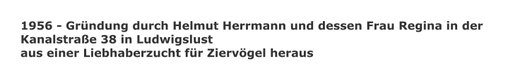 1956 - Grndung durch Helmut Herrmann und dessen Frau Regina in der  Kanalstrae 38 in Ludwigslust aus einer Liebhaberzucht fr Ziervgel heraus